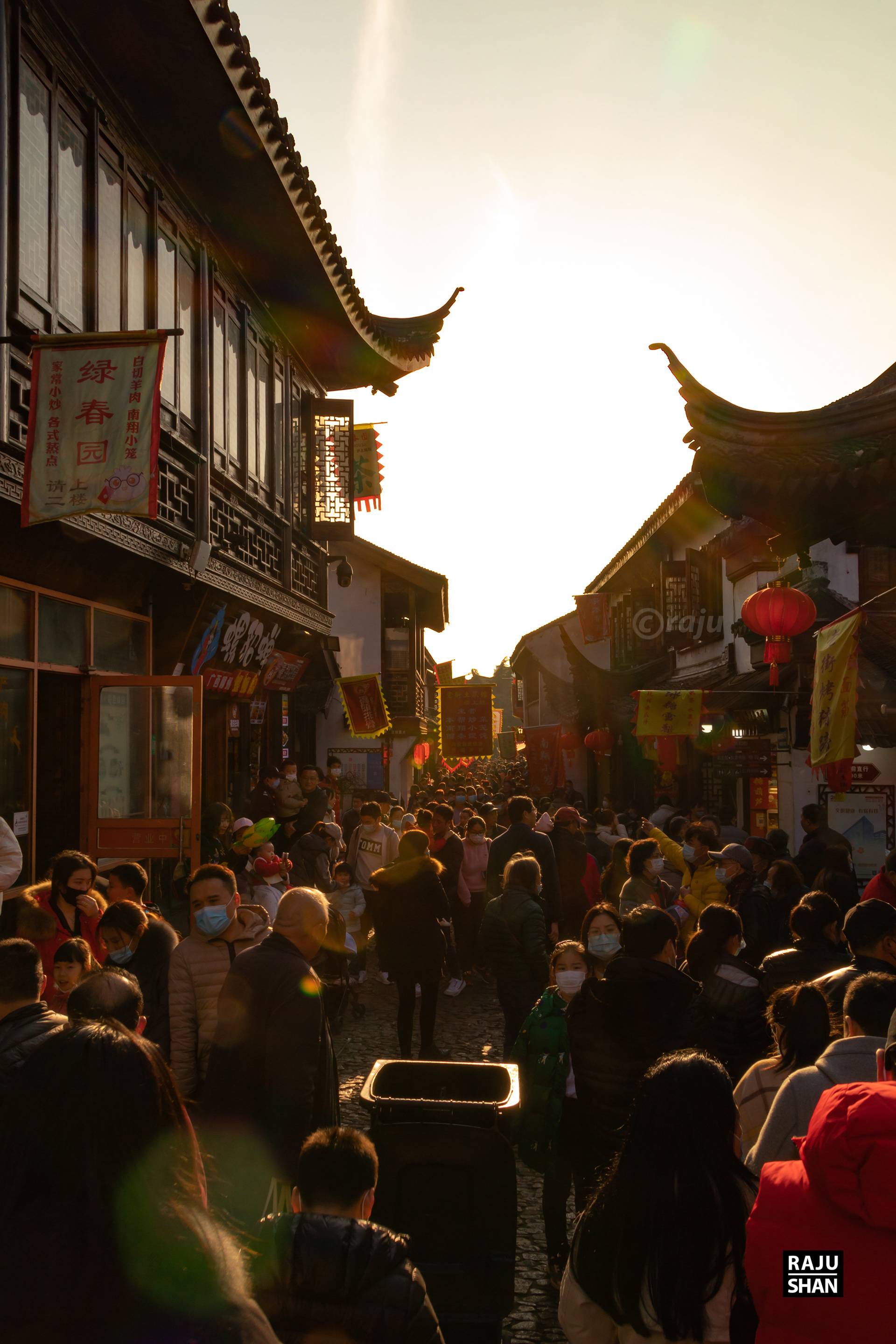 Guyi Garden & NanXinag Ancient Town- Shanghai-29