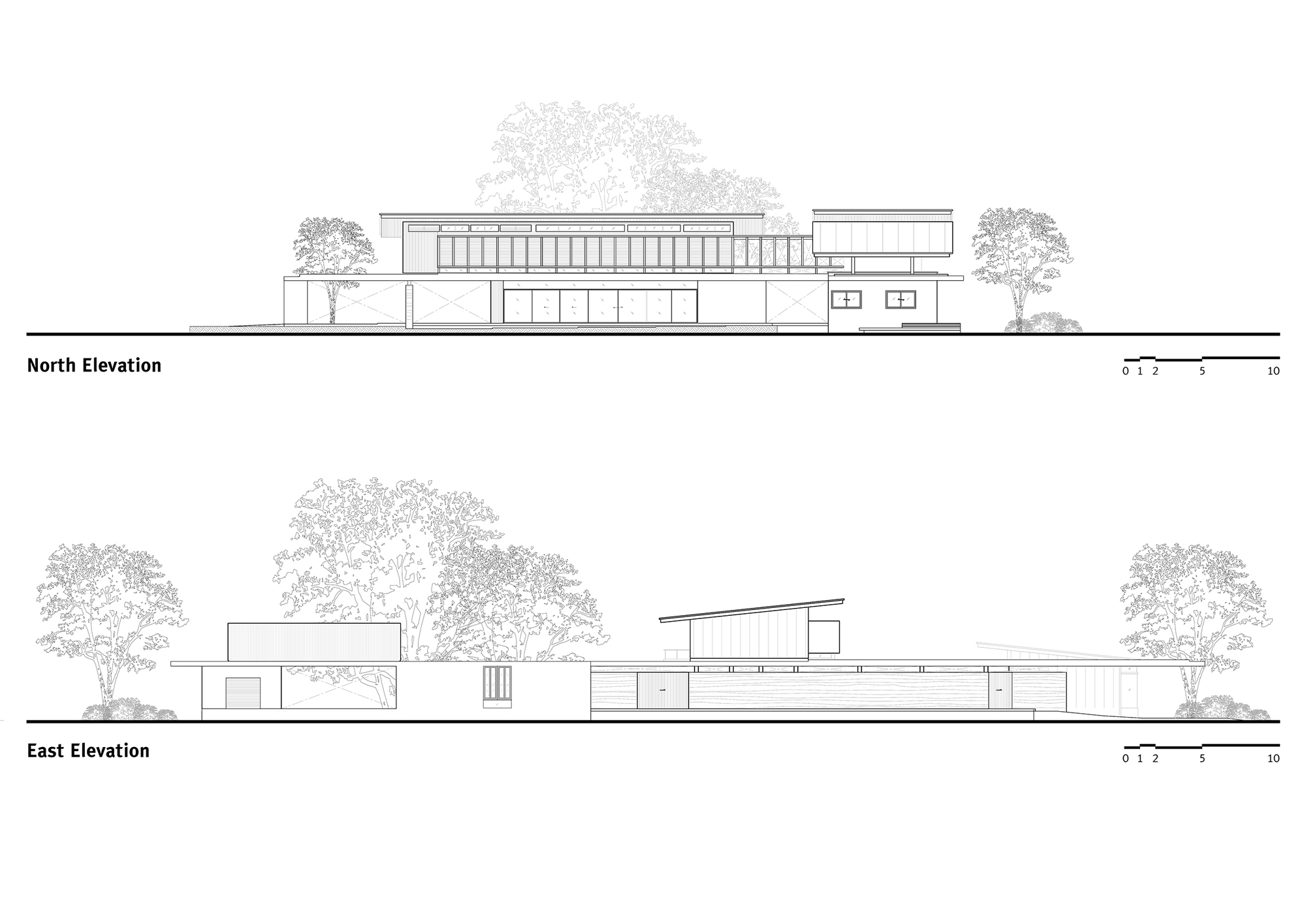 丨泰国丨Anonym-50