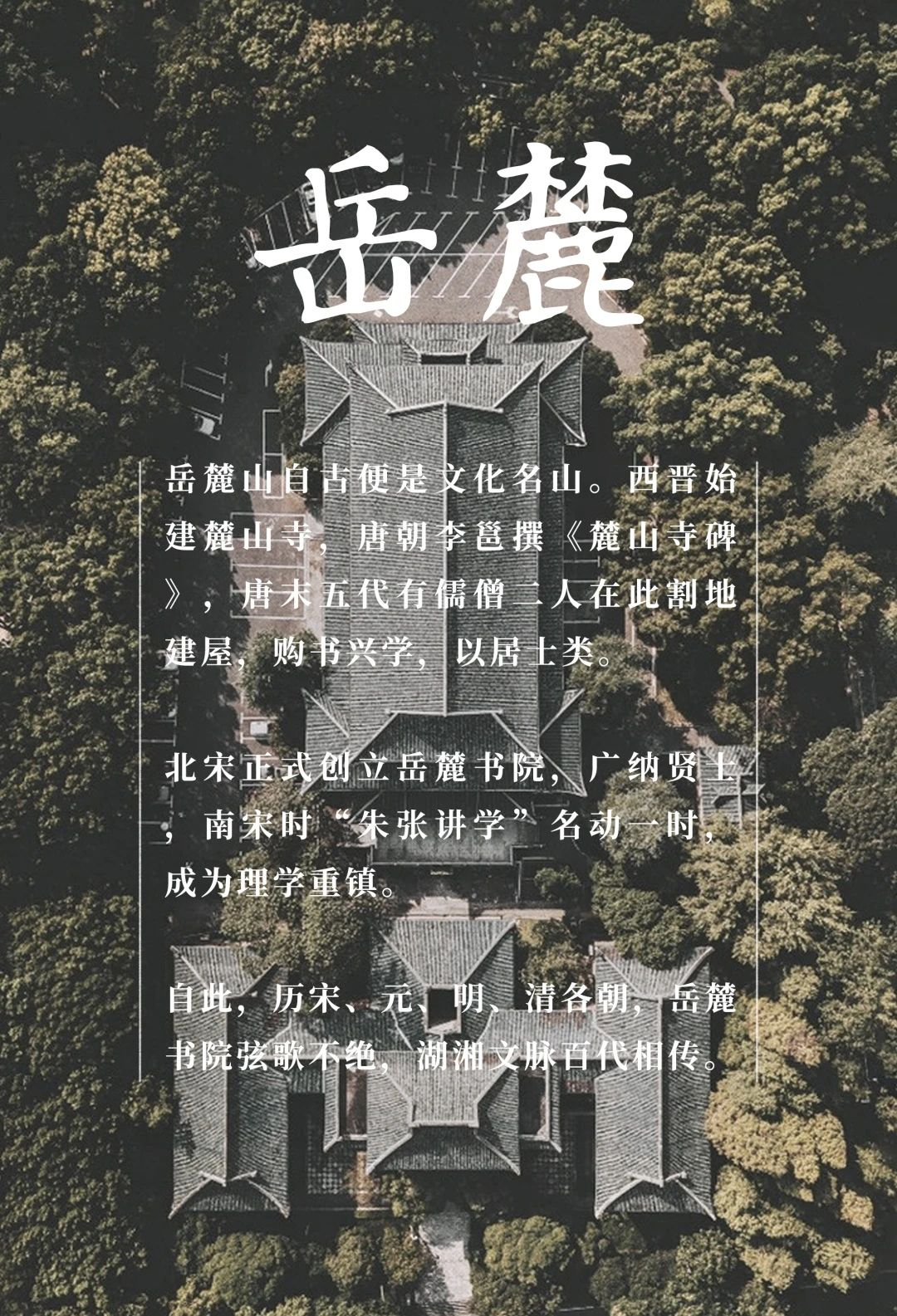 深业·麓溪云境下叠别墅丨中国长沙丨广州共生形态工程设计有限公司-3