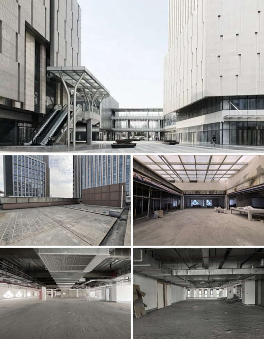 上海Meet·华大科技园办公改造 · 一场自然驱动下的空间共生实践丨中国上海丨予舍予筑-3