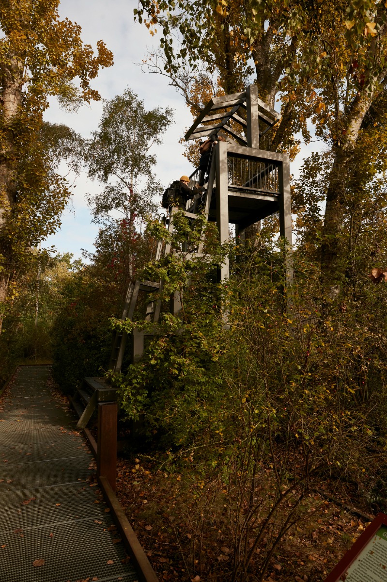 柏林南场地自然公园丨德国柏林-15