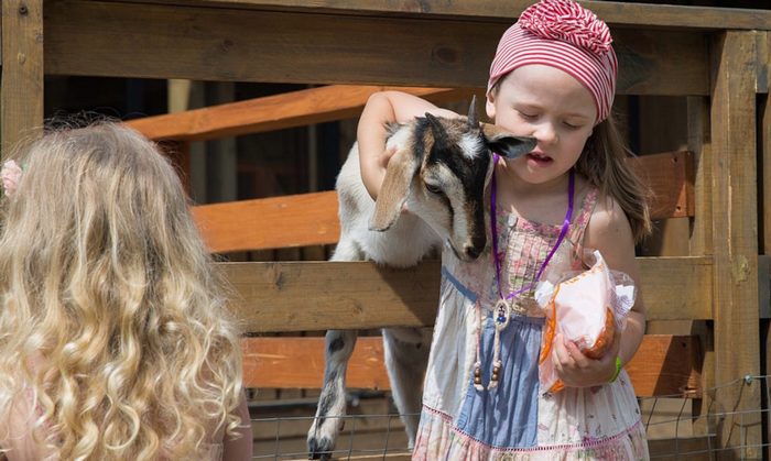 莫斯科“城市农场”丨俄罗斯莫斯科丨俄罗斯建筑事务所Wowhaus-21