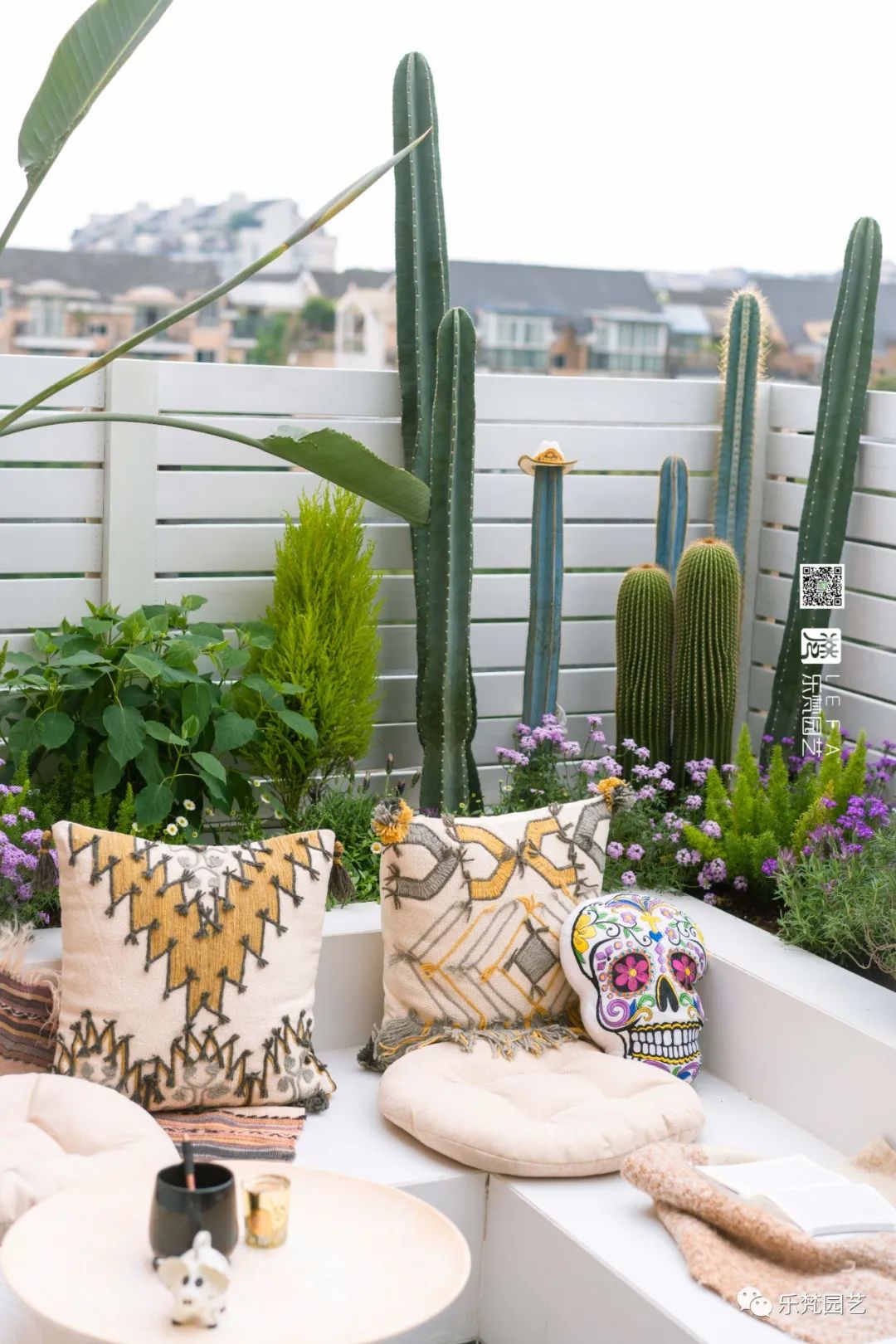 媚媚猫咪的摩洛哥阳台花园丨乐梵园艺-29