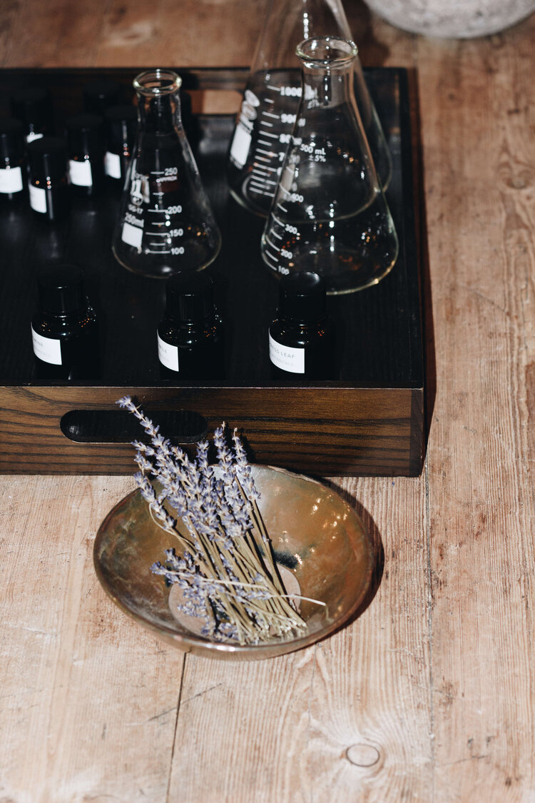 True Botanicals Jeremiah Brent-17