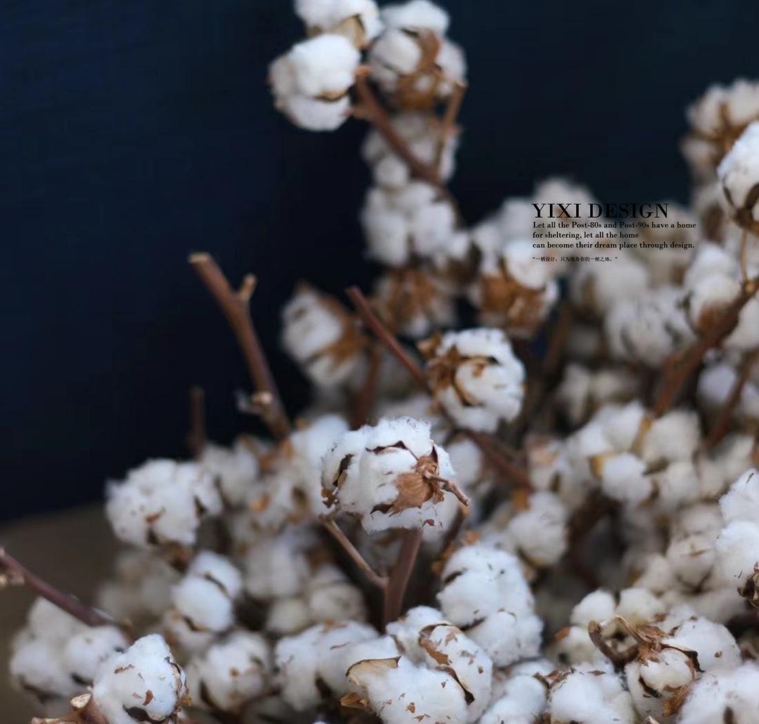 摄影工作室 · 净雅简约风丨一栖设计-13