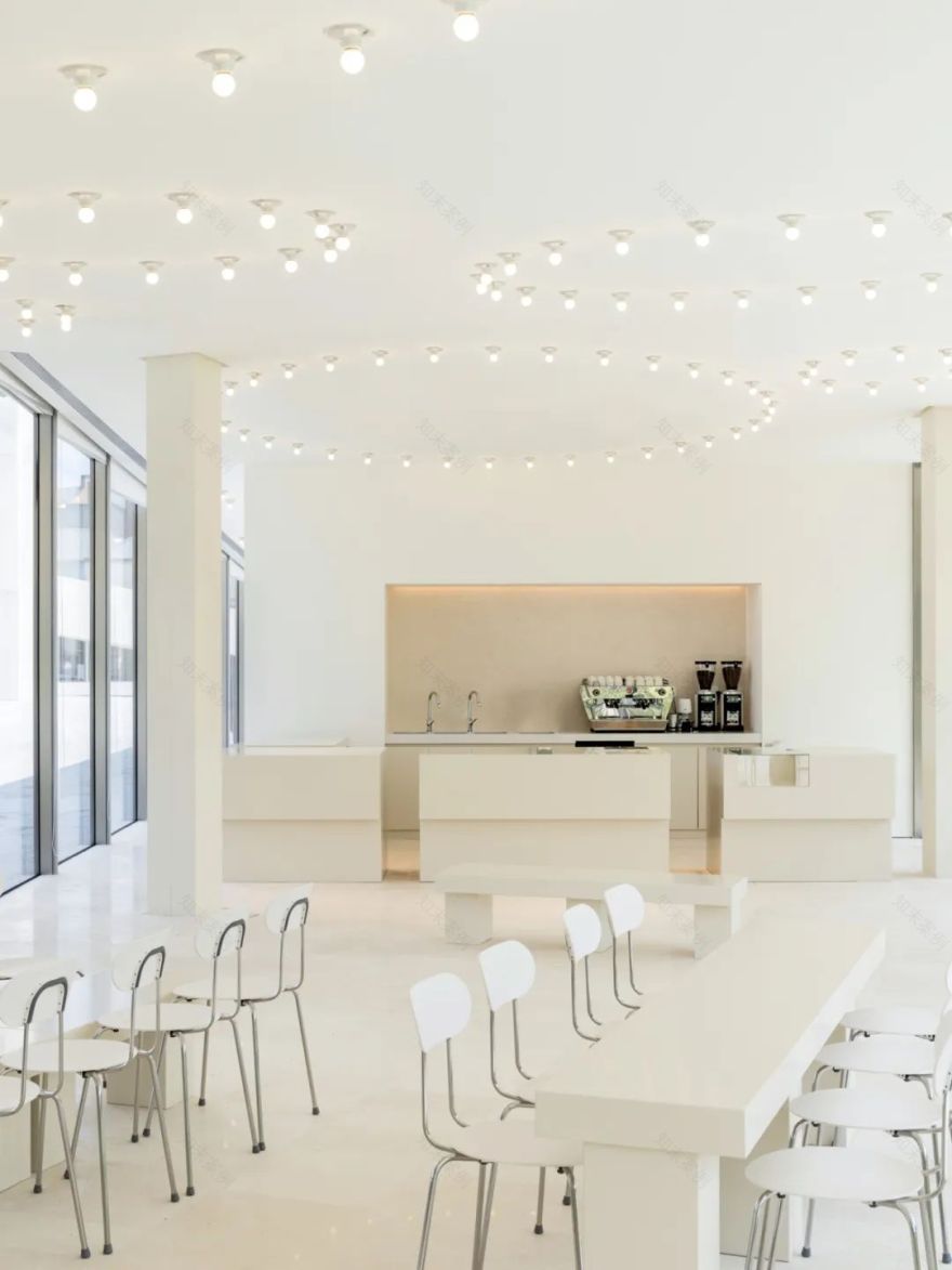 海边的两块石头-35