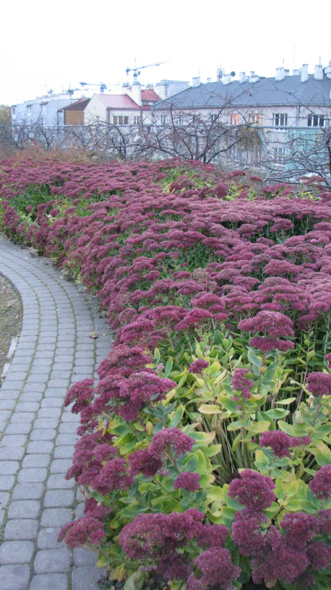 华沙大学图书馆丨波兰华沙丨Budzynski & Badowski-91