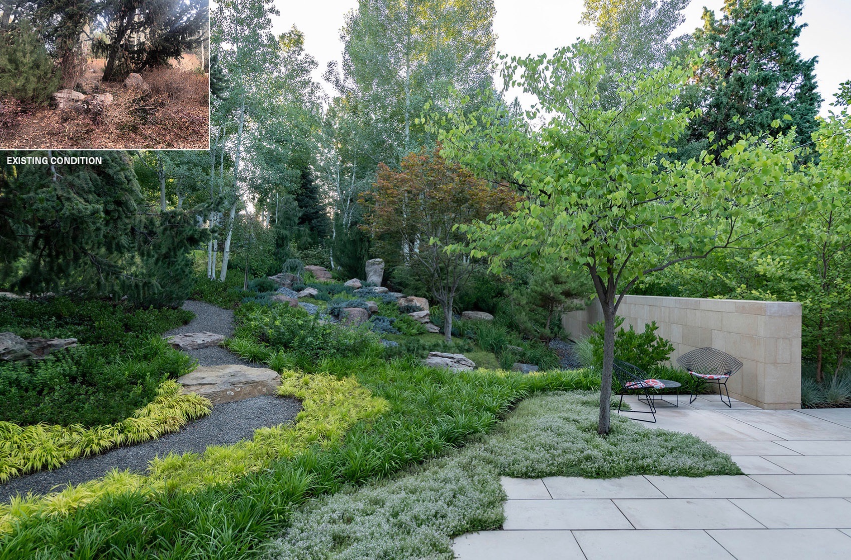 在“里高城”内培育自然丨美国丹佛丨Design Workshop,Inc. & Aspen-37