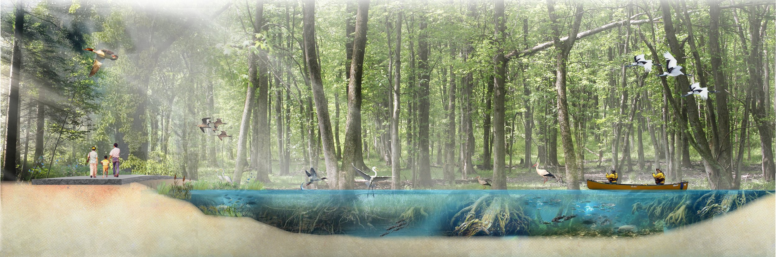 Public Realm — Morphis-8