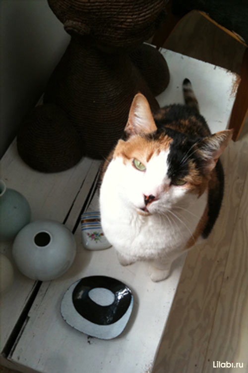 芝加哥住宅丨美国芝加哥丨彼得和林妮（芝加哥设计师）-22