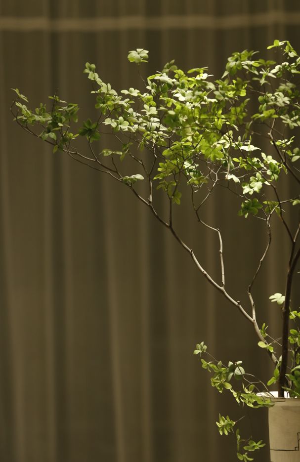 美好如明月绽放︱精装科技•绿城明月滨河雅鉴-2