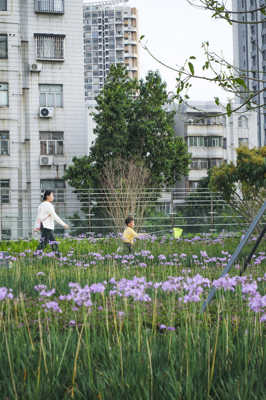 悦清公园丨中国深圳丨中国建筑西南设计研究院有限公司深圳景观设计院-112