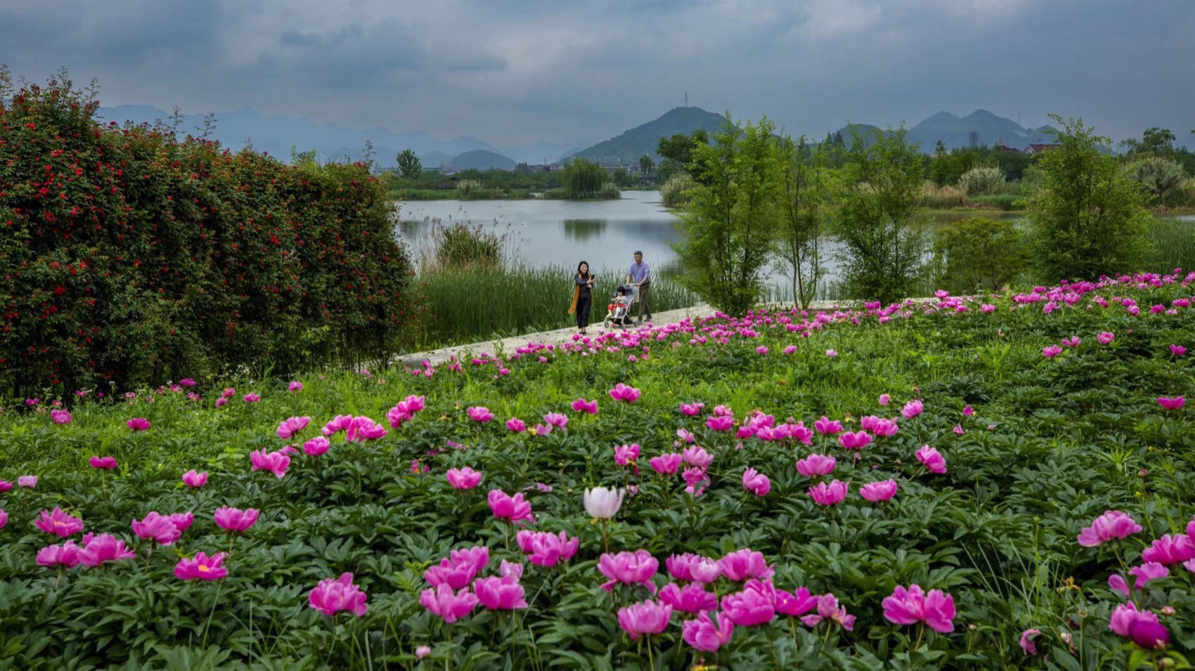 杭州富阳阳陂湖生态修复治理项目（一期）丨中国杭州丨中国电建集团华东勘测设计研究院有限公司,汉嘉设计集团股份有限公司-79