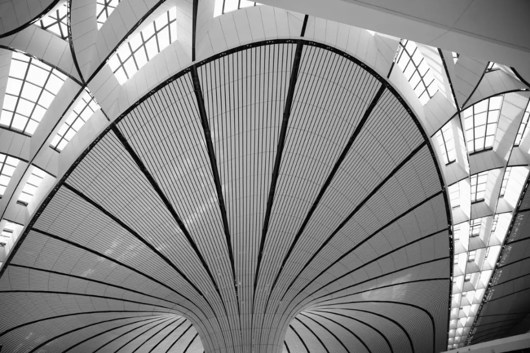 阿那亚的海、建筑与艺术 | 探索海边孤独的图书馆与礼堂-21