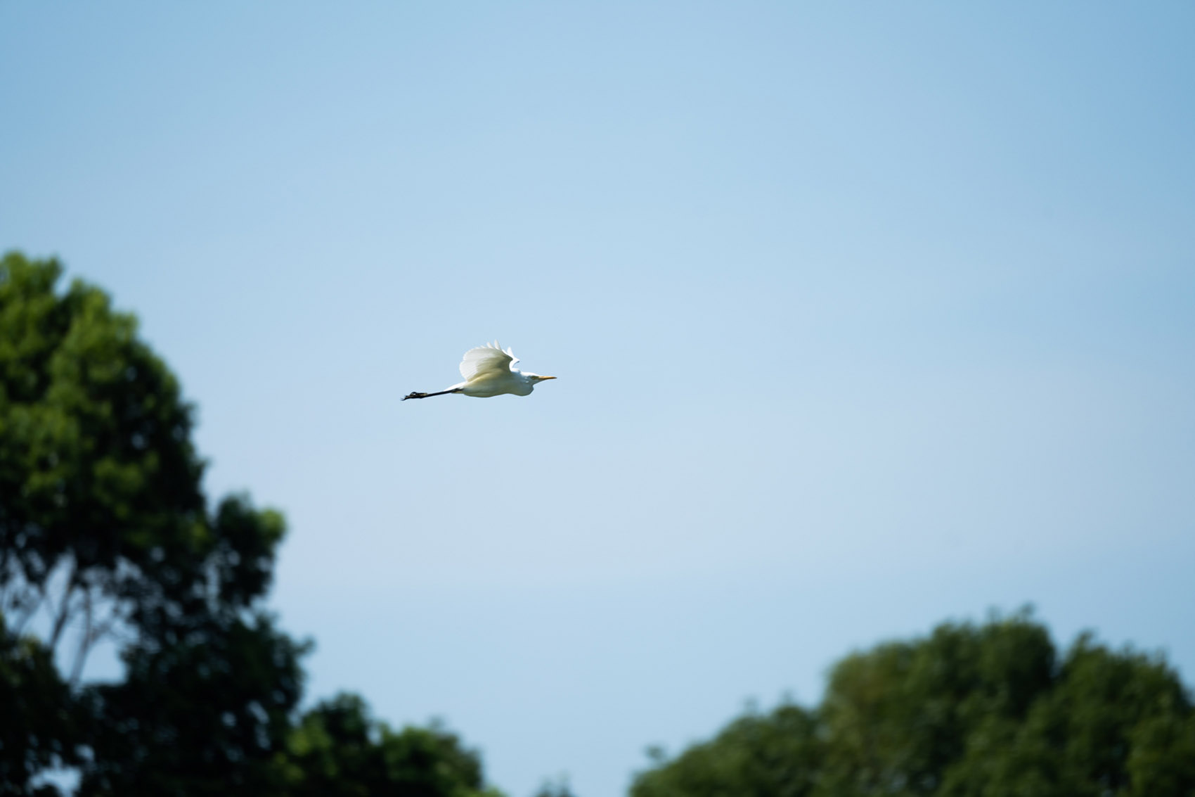 西湖高尔夫丨中国杭州丨NCD Studio 玖鹿设计-88