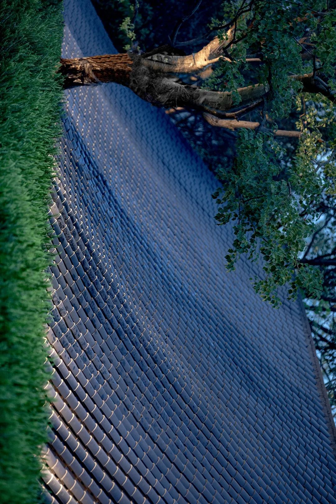 景观的穿针引线——缝合建筑、场地与记忆 | 三迪·金域漳州-17