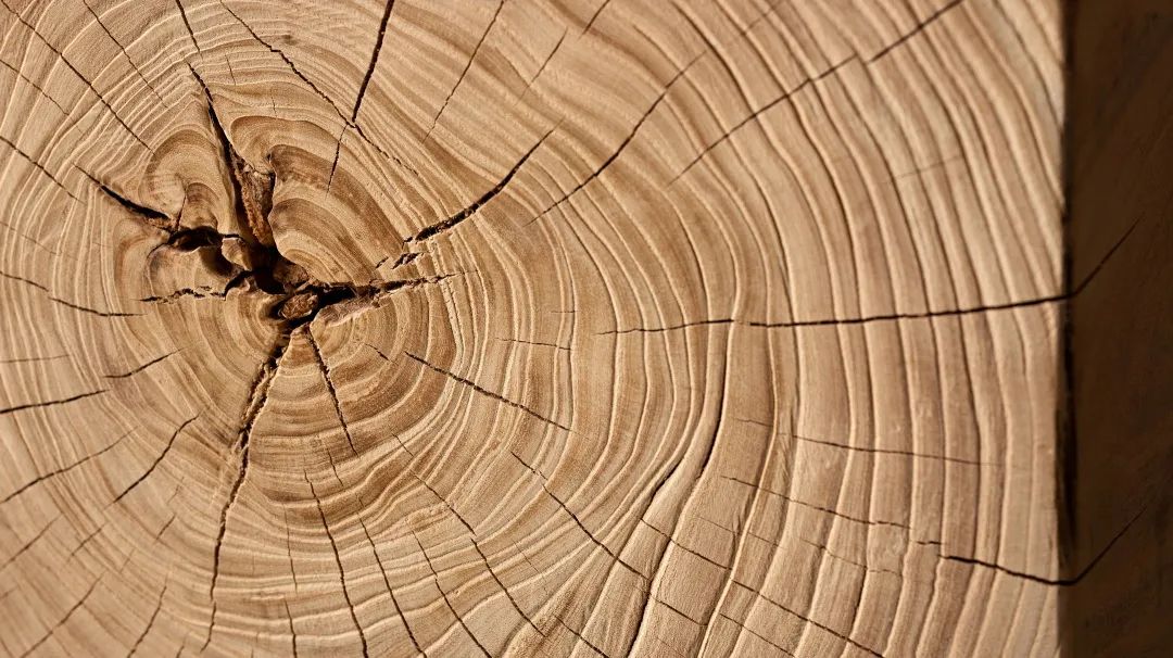 合肥萬科觀山隱秀社區體驗中心丨中国合肥丨矩陣上海設計中心-67