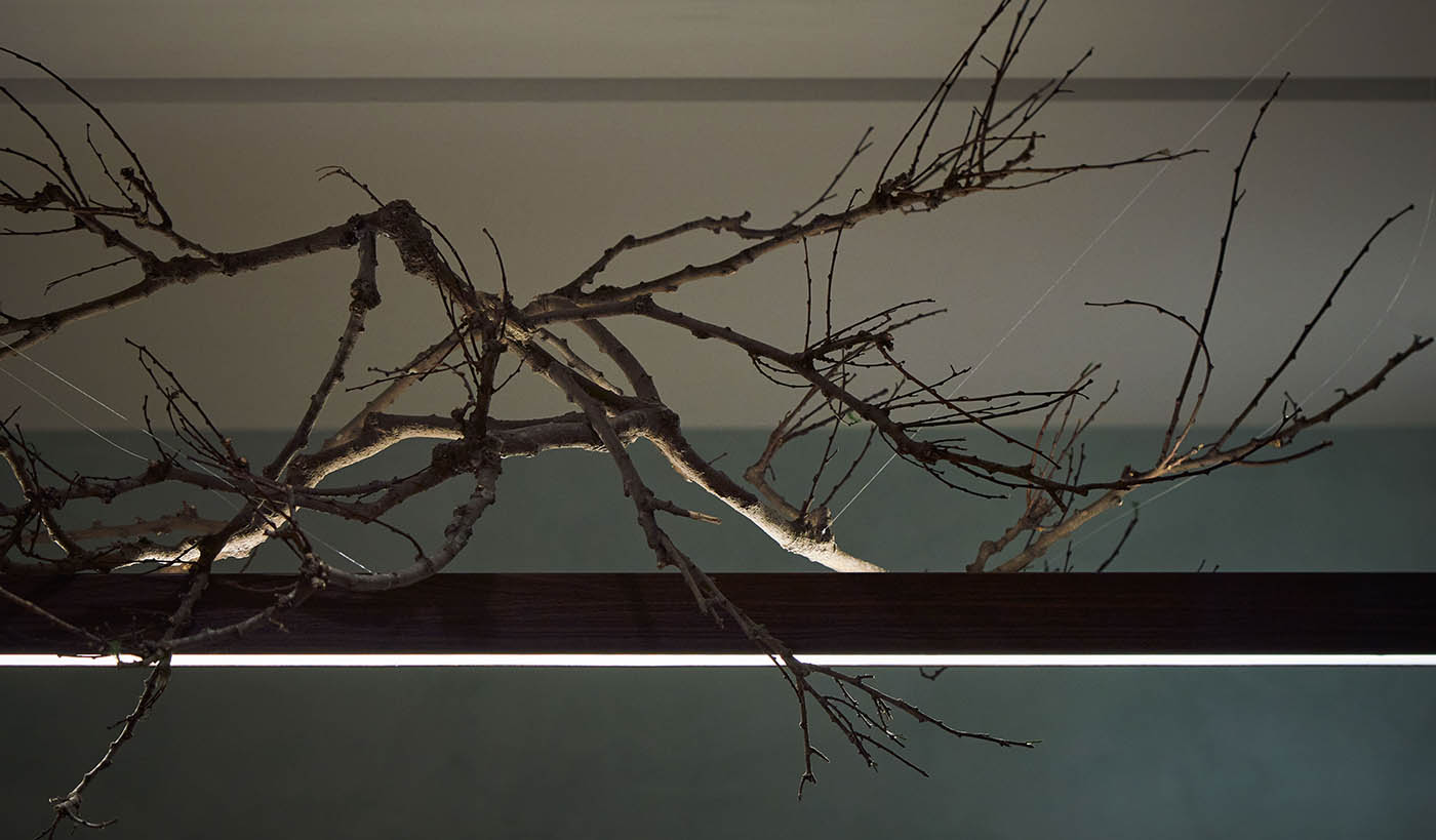 【餐廳室內設計】淨化身心的飲食體驗『知初永續廚房』開物設計-8