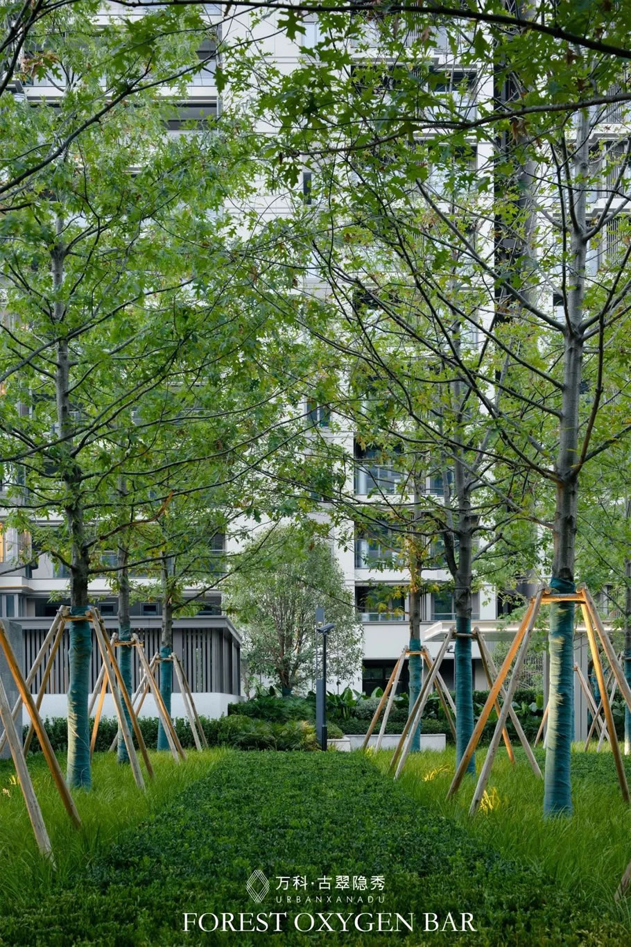 温州万科·古翠隐秀丨中国温州丨A&N 尚源景观-24