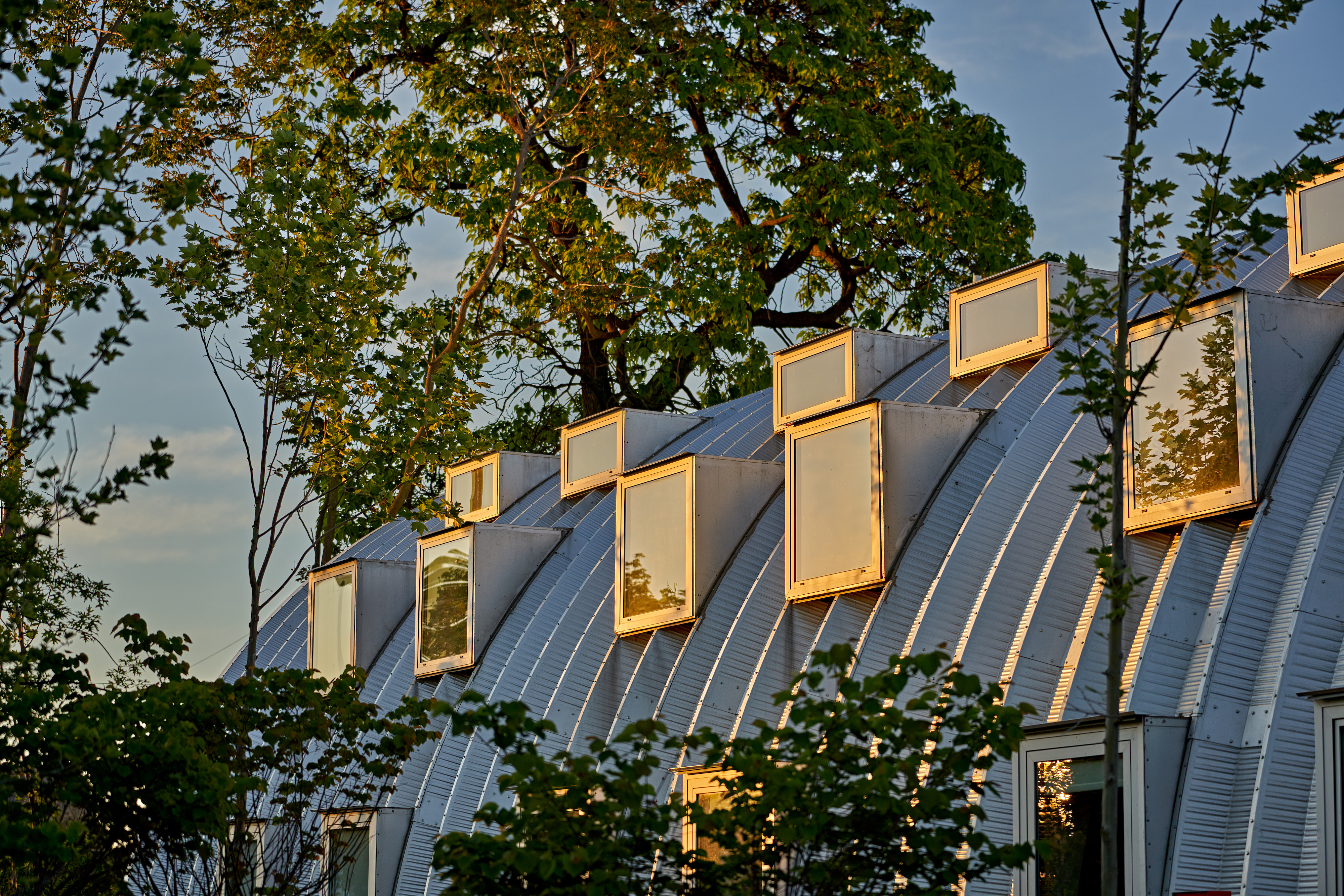 毛毛虫丨美国底特律丨Prince Concepts-18