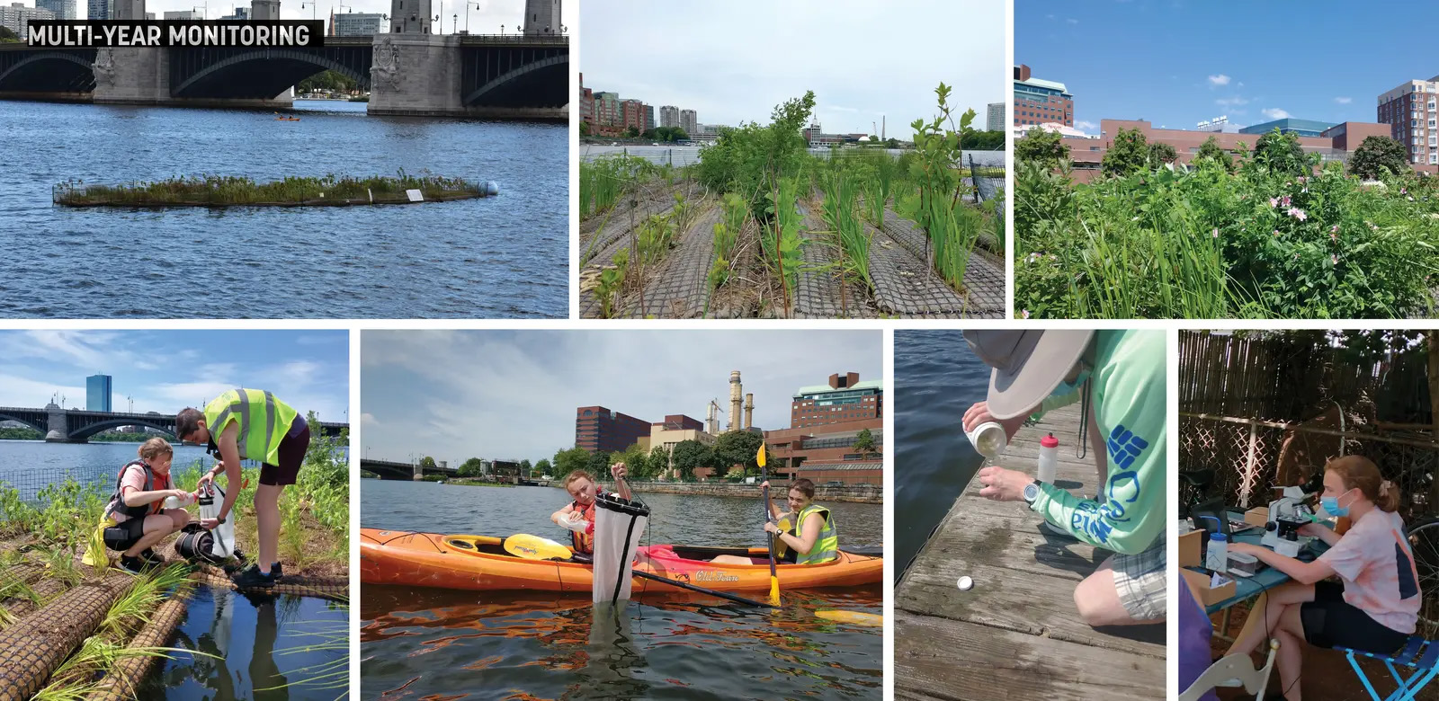 查尔斯河浮动湿地试点项目丨美国波士顿丨Sasaki Associates,Inc.等-30