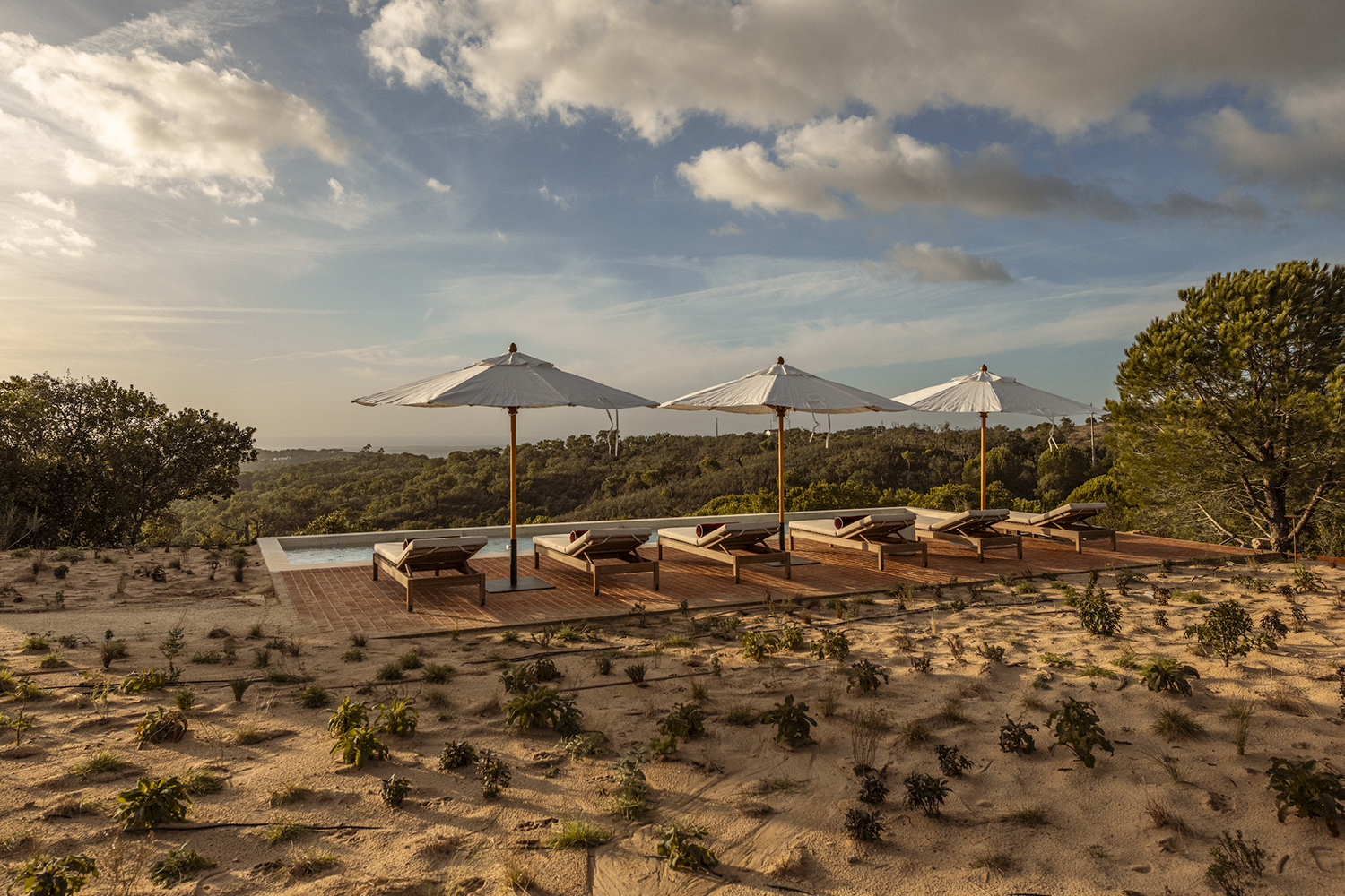 玫瑰岩别墅丨Manuel Aires Mateus-10