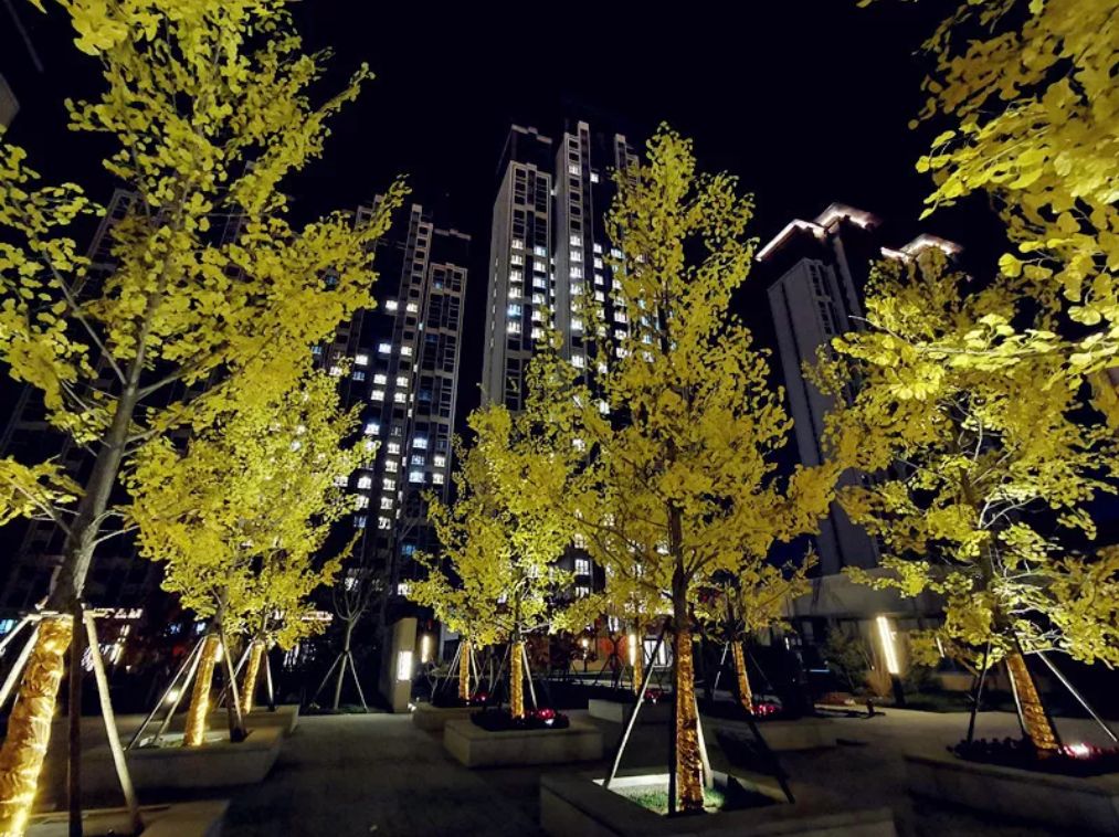 老街坊们，回家啦！-87