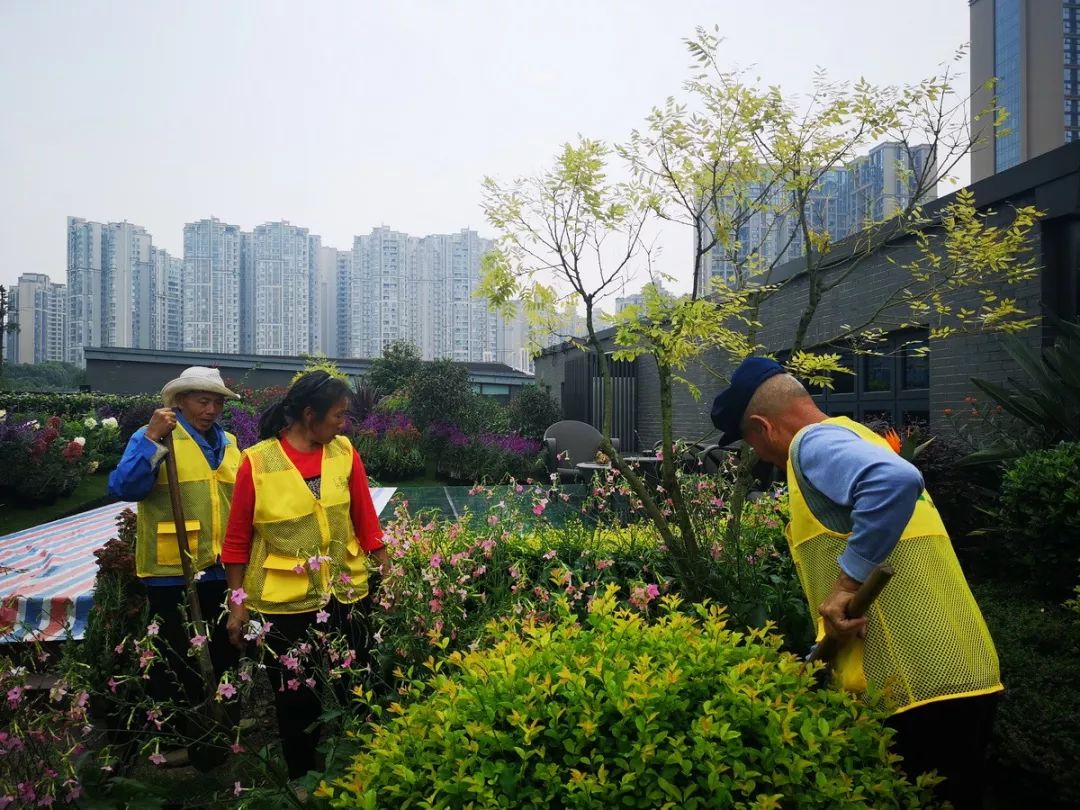 空中花园的粉紫色浪漫 | 乐梵造园的秋韵花境改造-91