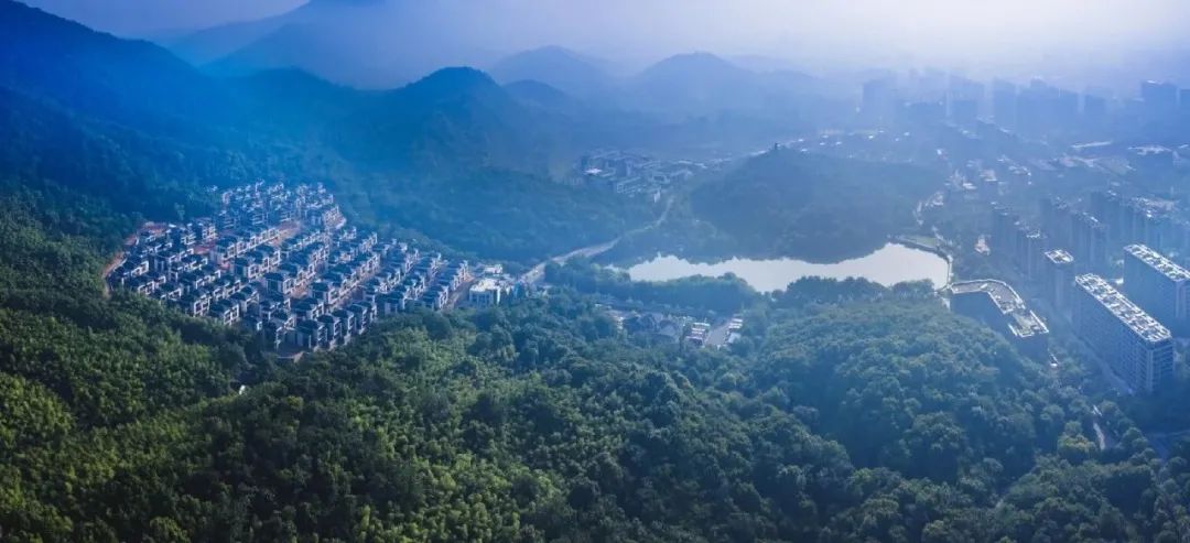 杭州半山林畔晓云山居极简禅意豪宅设计丨中国杭州-4