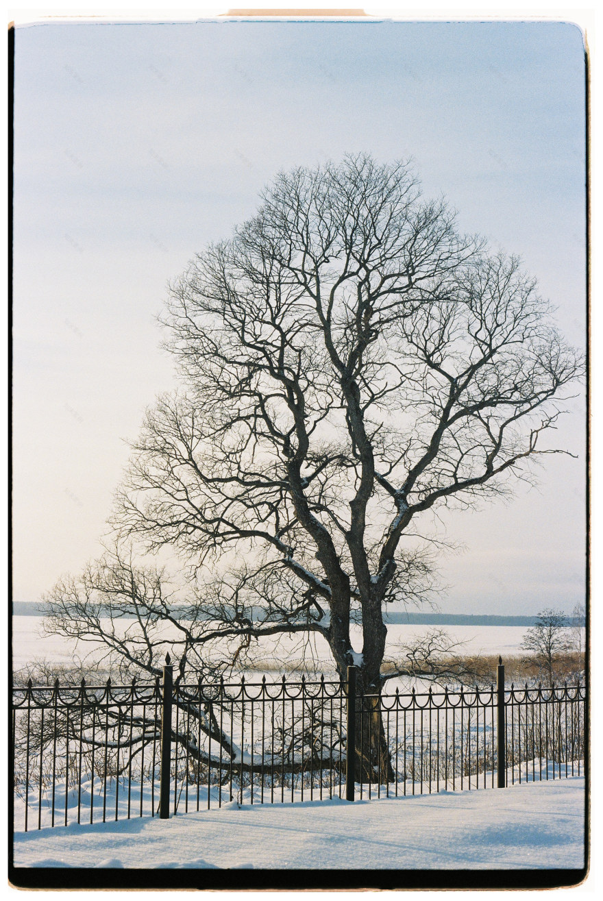 Frost, sun and laugh-11