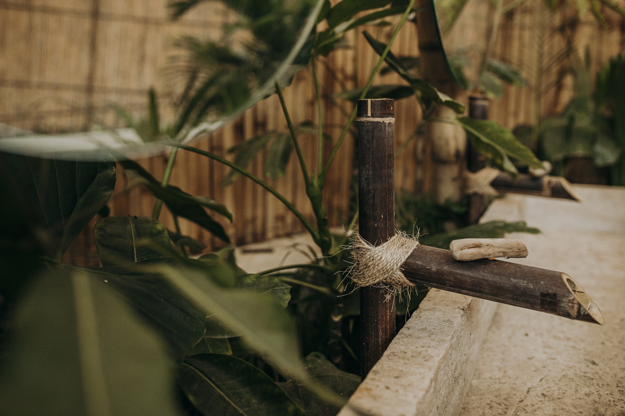 墨西哥“竹之花”卫生间丨fabrikg-29