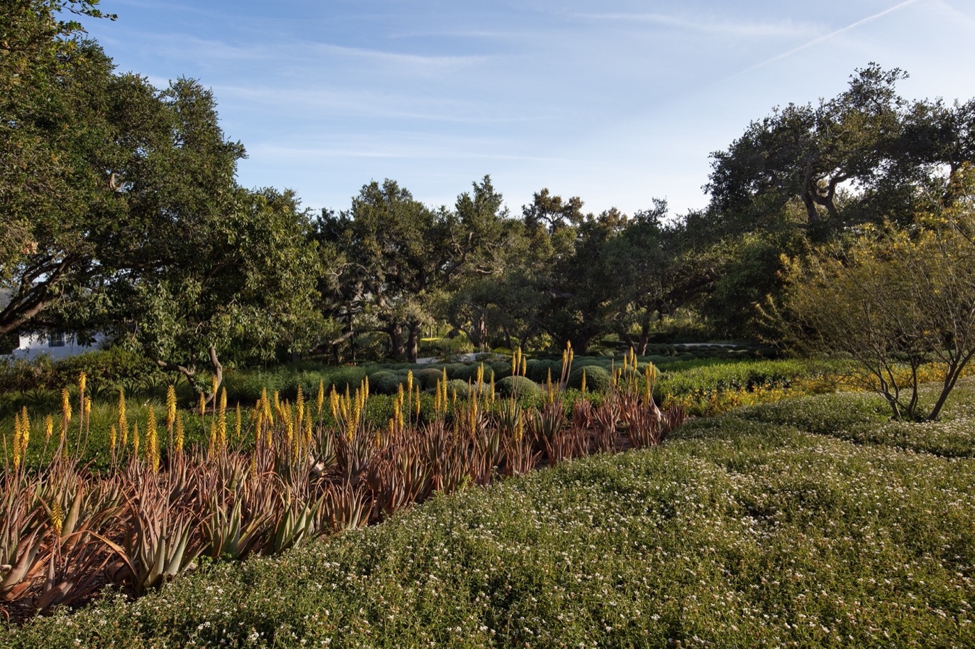 加州 Montecito 的 Mariposa Gardens丨RIOS-18