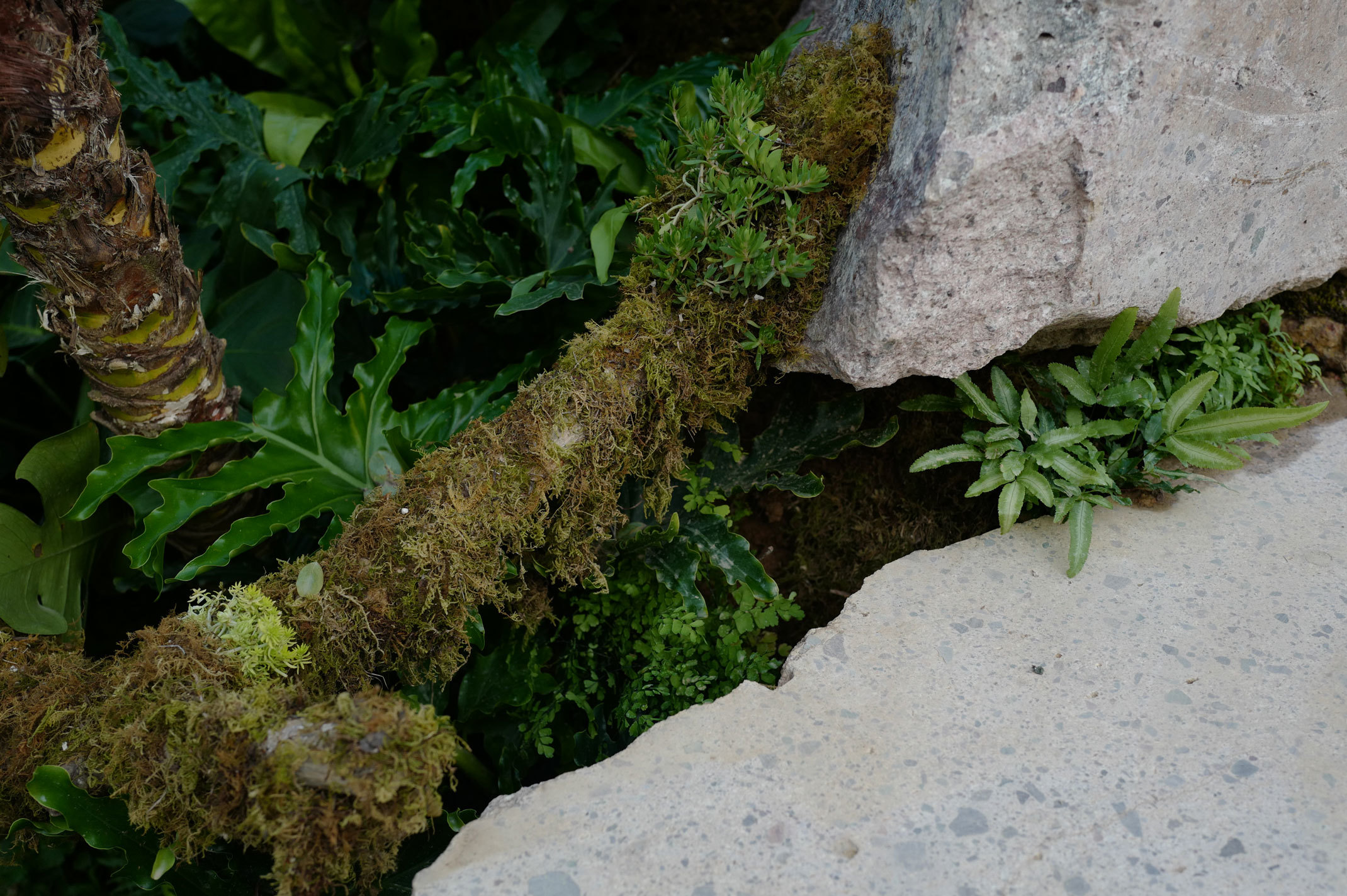 Shenzhen Flower Show - Xanthe White Design-23