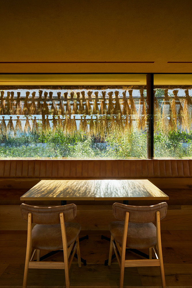 Laboratory Under The Crop Field-7