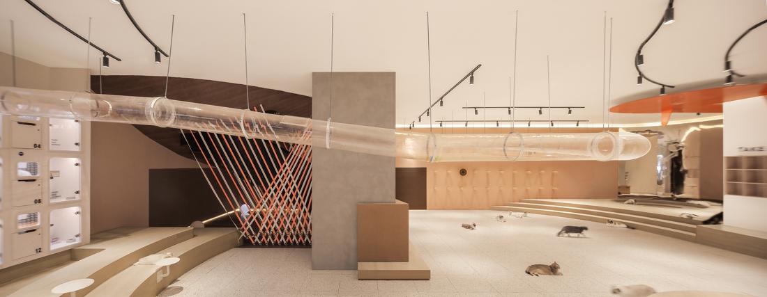 喵星人入侵 · 猫咪共享空间丨中国青岛丨黄士华-5