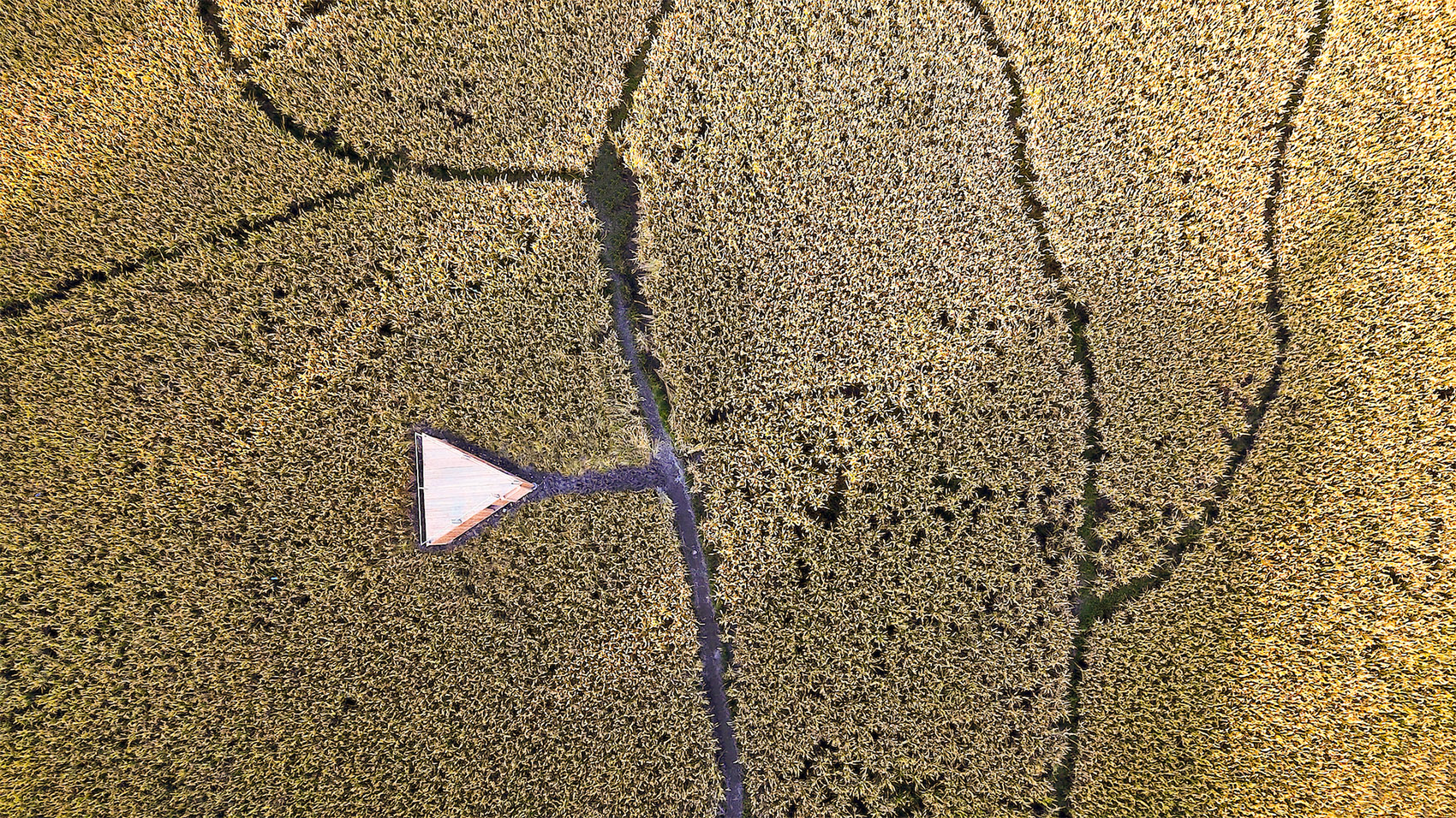 青石寨的稻亭和稻场，福建 / 个个世界+先进建筑实验室-73