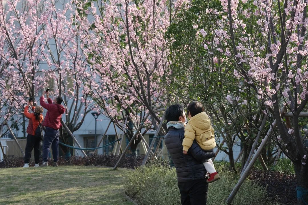 锦溪公园丨中国苏州丨合展设计营造-75