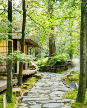成都青城山不宿·久之森林民宿周围景观丨中国成都