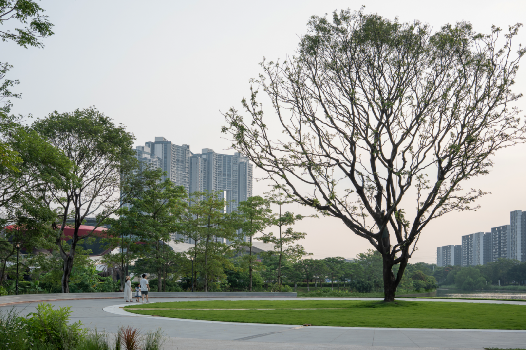 续写亚运荣光，激活滨水新篇|广州亚运公园-106