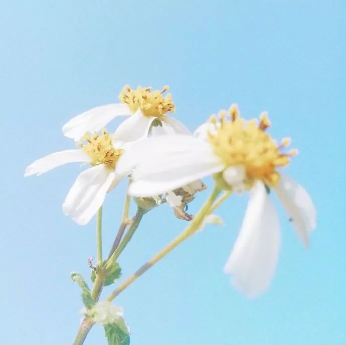 【家·设计】荣和城113㎡现代风格，至精至雅，韵味十足！-3