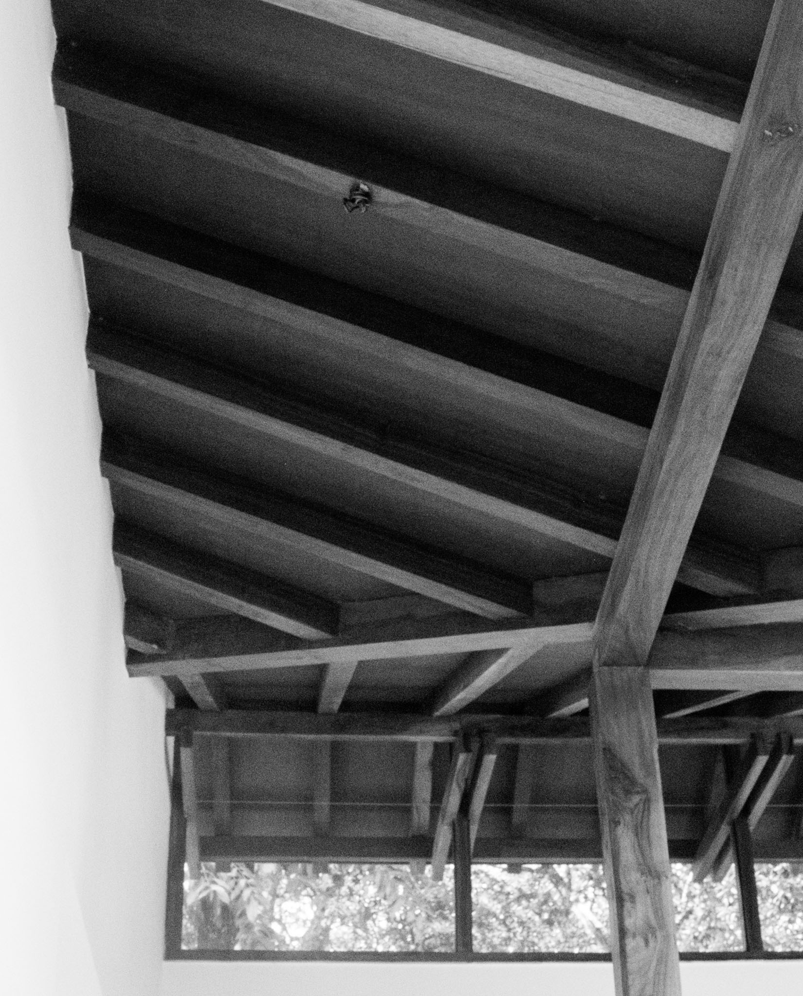 Discover ASSAGAO: A Unique House in Serene Goa-10