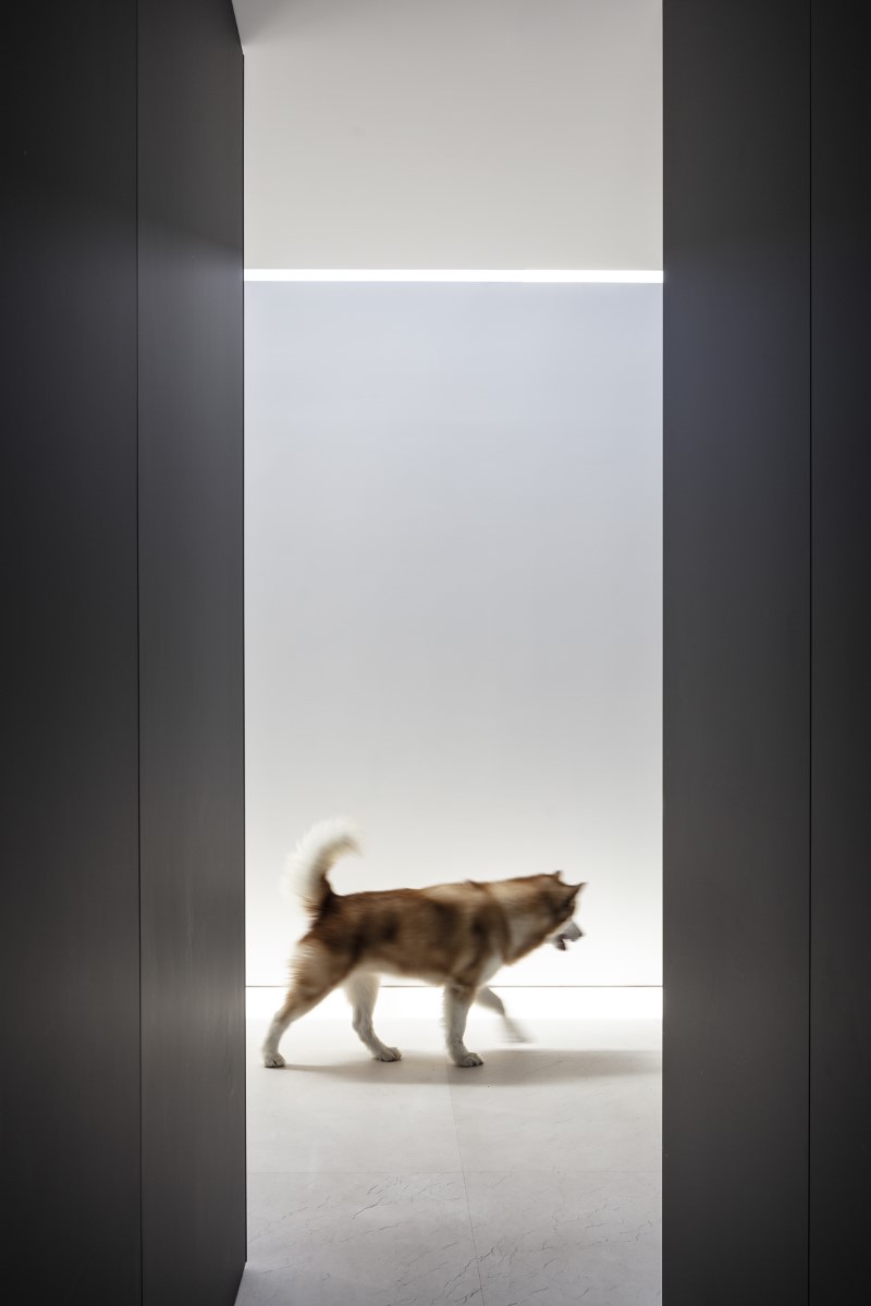 极致简约住宅丨以色列丨Pitsou Kedem-22