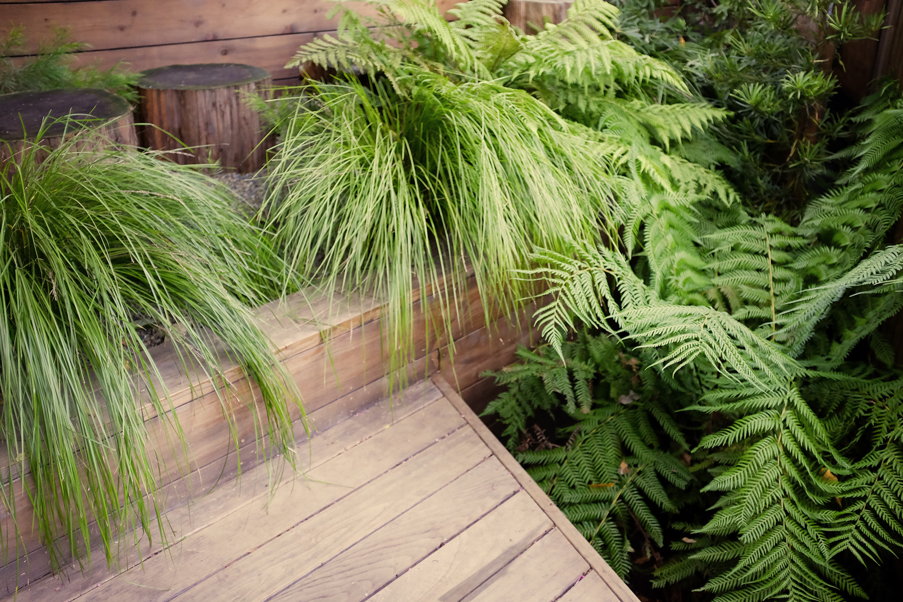 身边风景 | Soft Studio-80