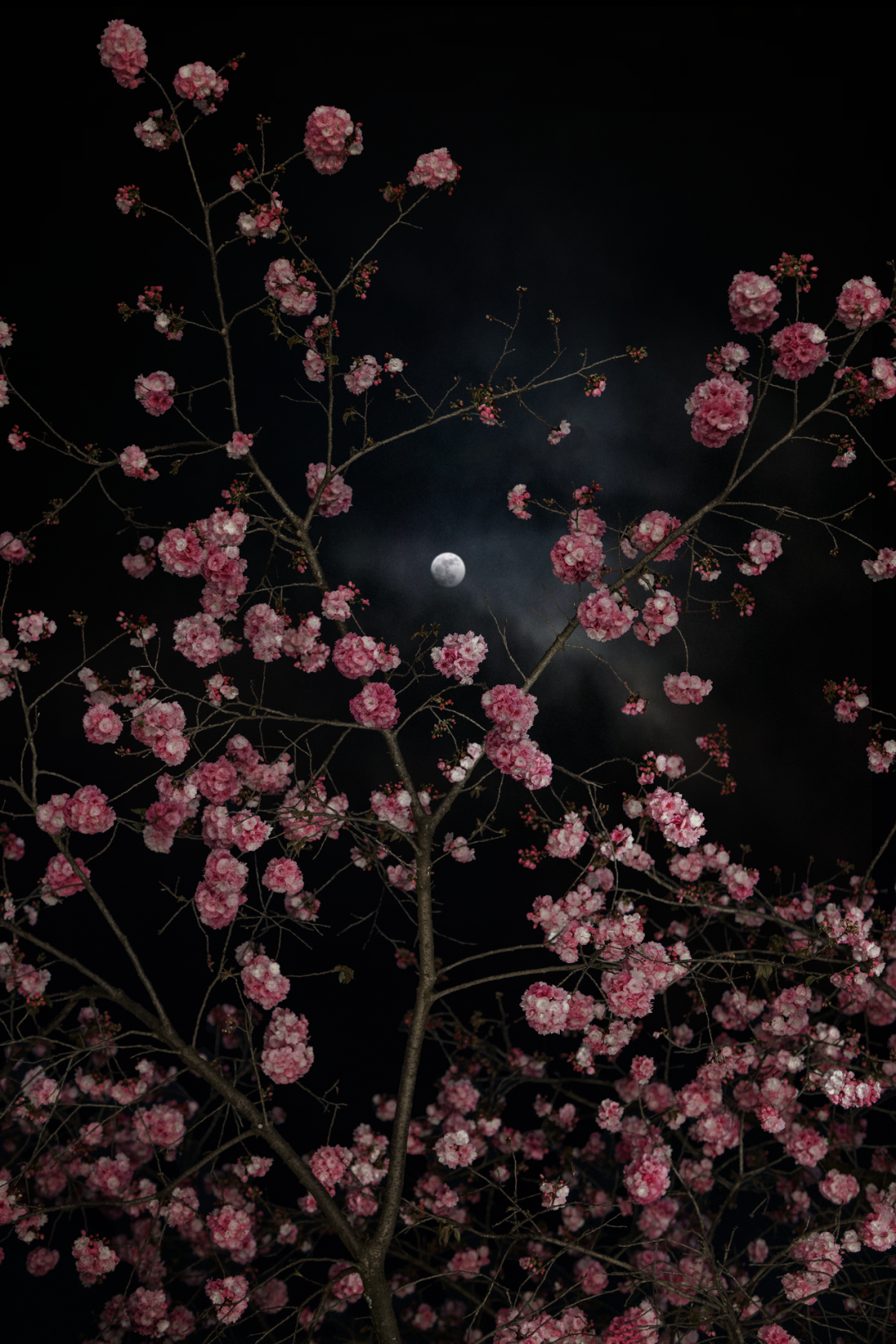 相上丨Ladésee工作室：向外生长，在公共与非公共之间-180