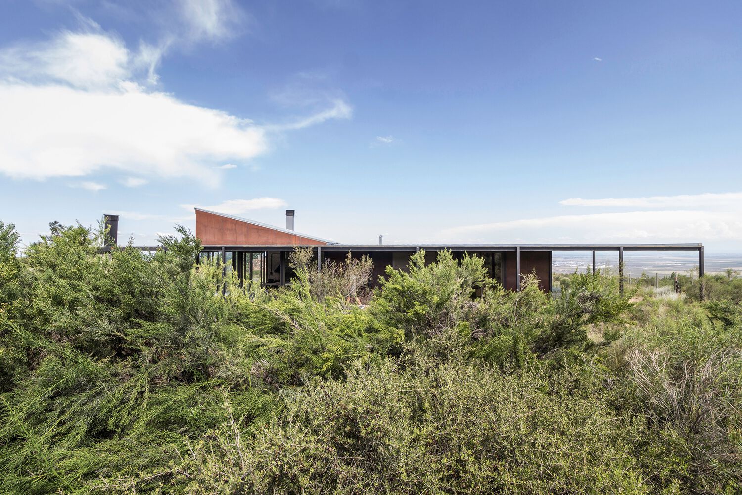 阿根廷 Luján de Cuyo 的 Casa Legarreta丨IN Estudio Arquitectura-25