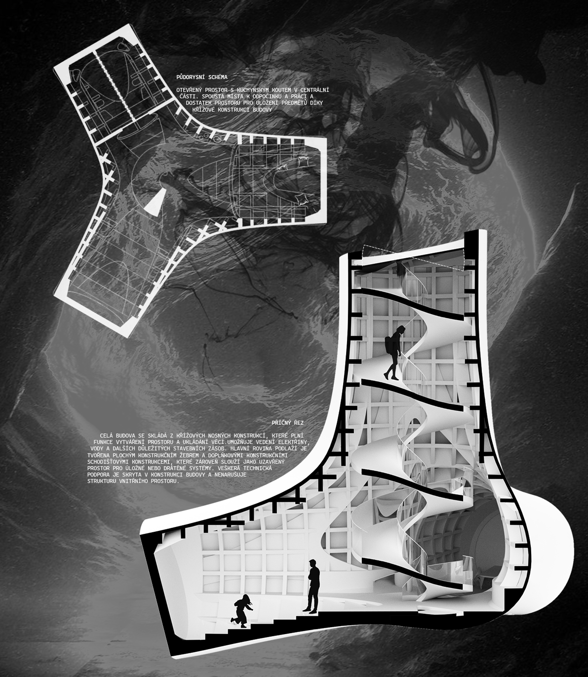 丨Viktoriia Tarnavska-7