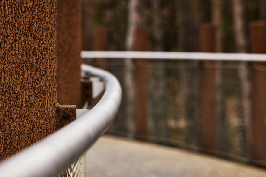 在树林中骑行丨Visit Limburg-9