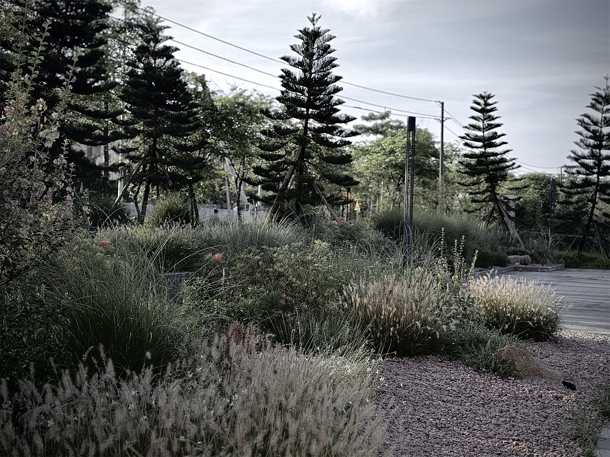 宝华智造产业园丨中国佛山丨成都无囿景观设计有限公司,佛山至岸园林-50