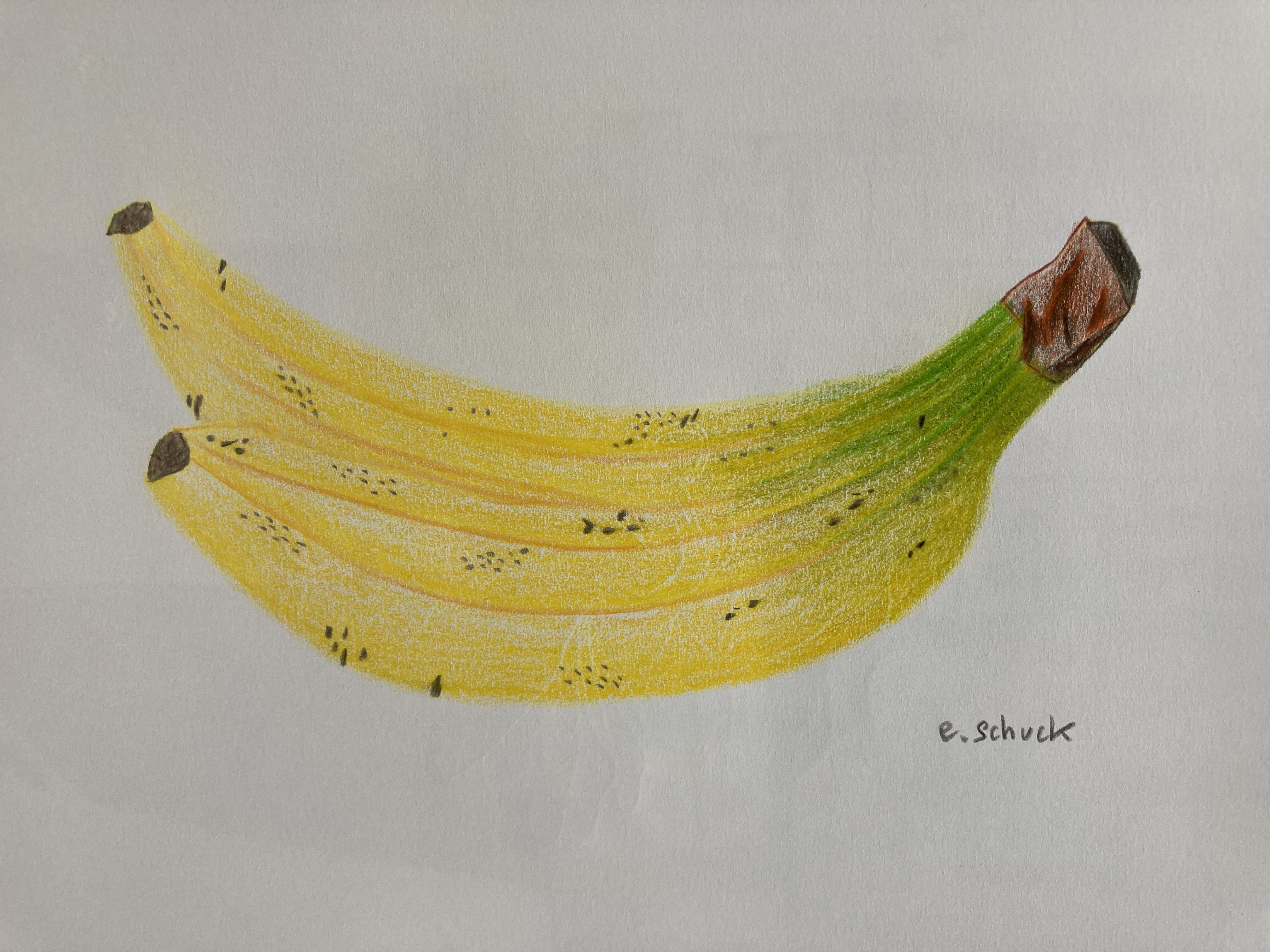 Essais aux Polychromos sur carnet A4...-4