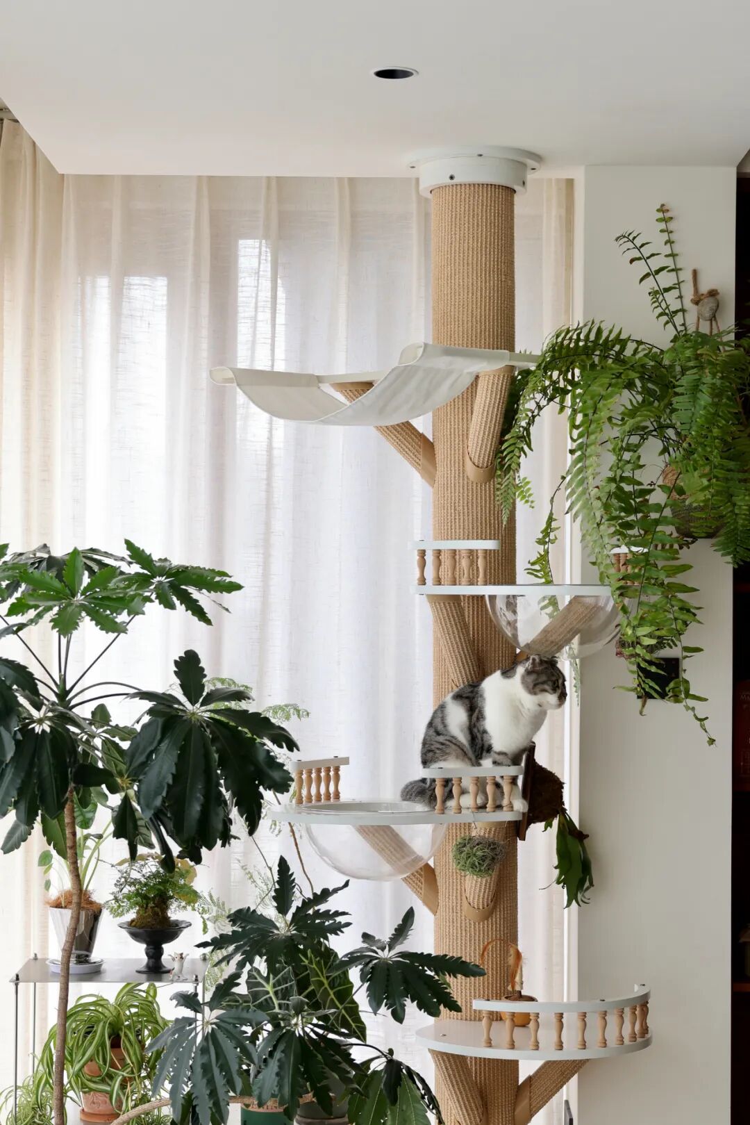 一屋光影,半室温柔丨中国宁波丨未也设计事务所-18